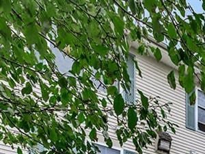 meetinghouse at riverfront senior independent living manchester nh gazebo